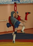 Боевое самбо 2.JPG title=